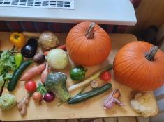  MŠ Vranovská - Království ovoce a zeleniny 