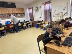 3., 4. a 5.D - Amavet